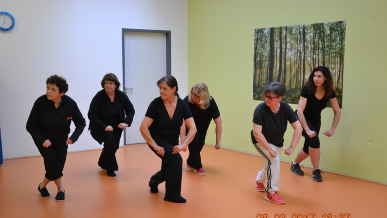 VSG – Qi Gong