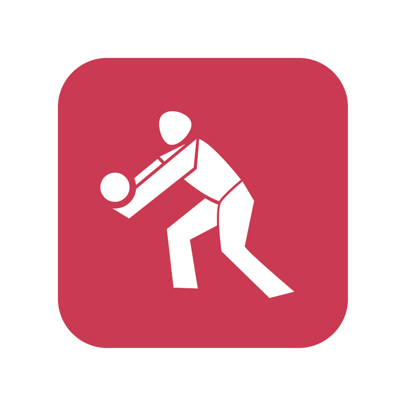 icon_volleyball_weiss_auf_rot_50mm_rgb_300dpi.jpg