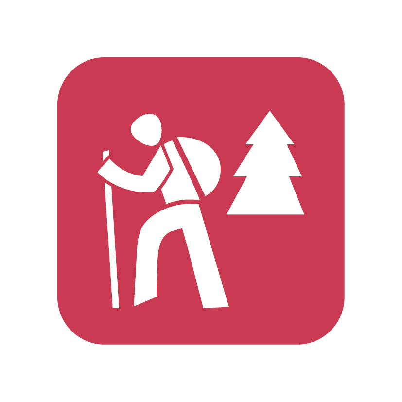 icon_wandern_weiss_auf_rot_50mm_rgb_300dpi.jpg
